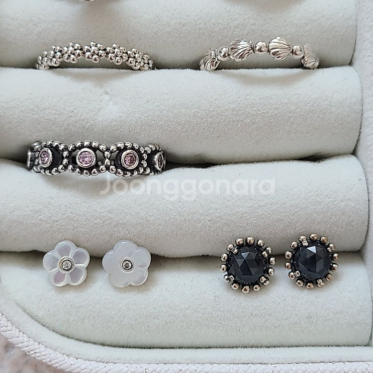 판도라 반지, 참--1