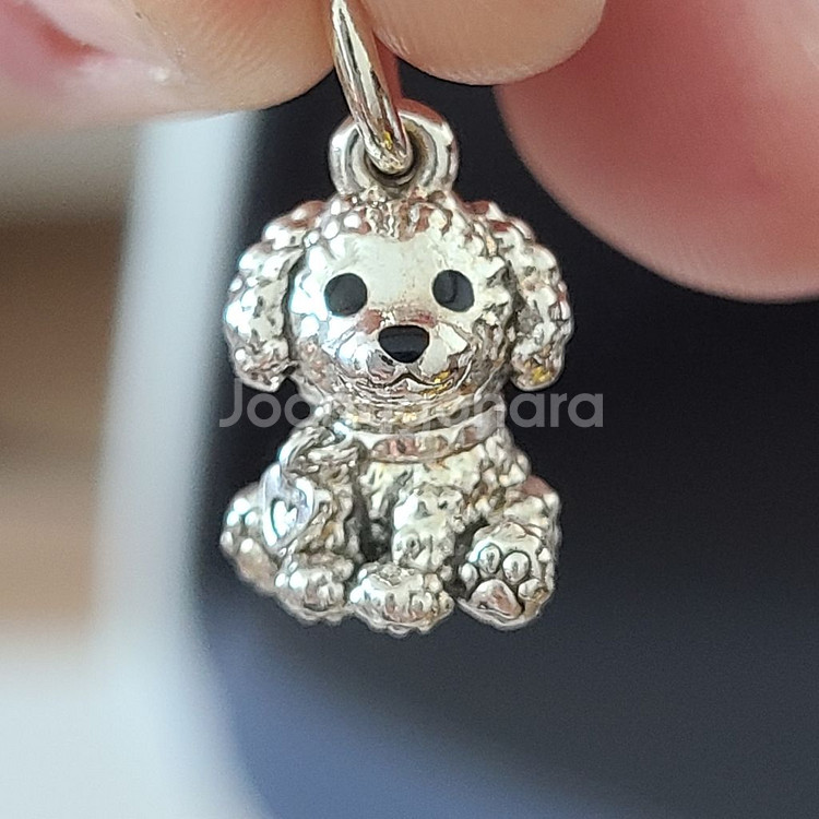 판도라 반지, 참--2