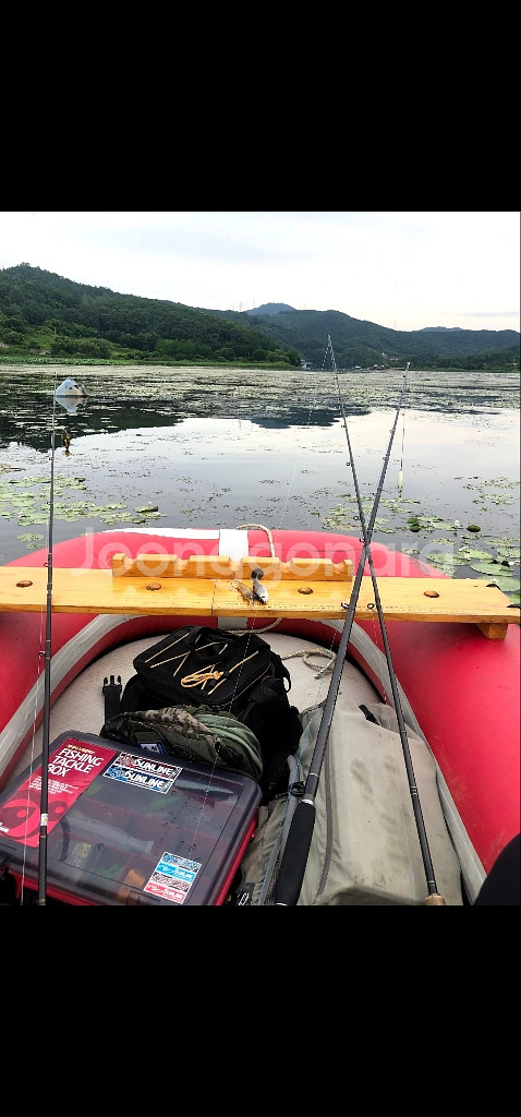 붕어보트--8