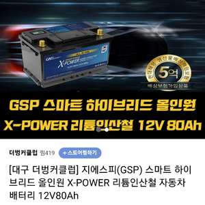 오늘만 이가격! GSP 리튬인산철 80Ah 배터리