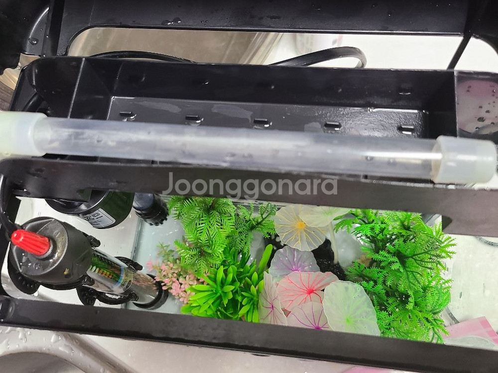 수족관 어항 풀세트--0