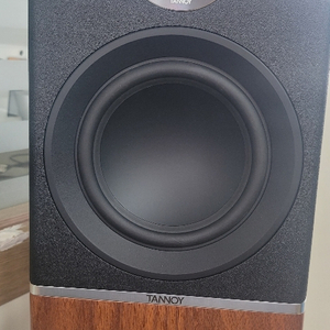 탄노이 스피커Tannoy platinum b6