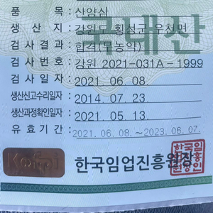 장뇌삼 최저가