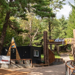 용평리조트 6월5일11일(토), 7월 예약양도