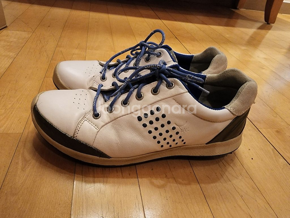 남성골프화 에코270--1