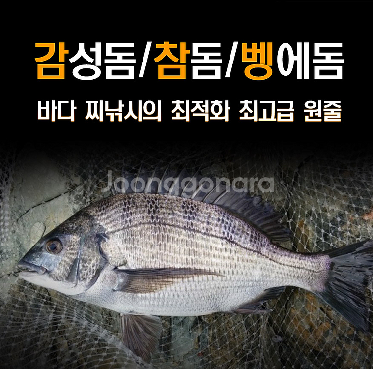 바다 원줄 2.5호 목줄 1.25호 새거 팝니다--5