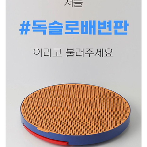 애견용품 독슬로 애견배변판