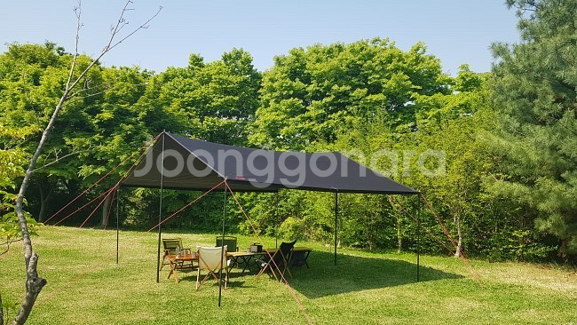 에르젠 S2 디프리져 렉타타프--1