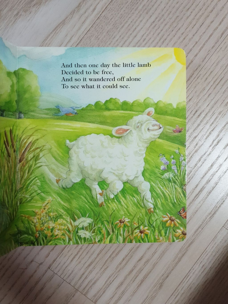 Mary had a little lamb 그림책--1