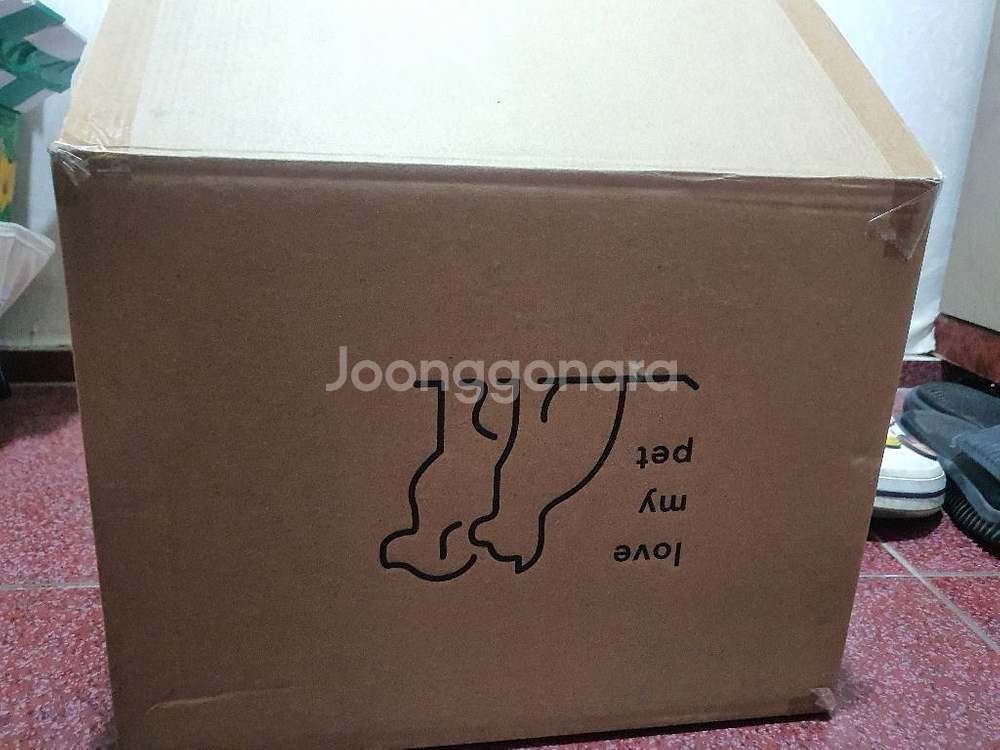 럽마이펫애견미용기--0