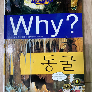 Why책 동굴 팔아요