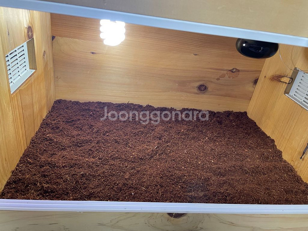 파충류 원목 2자사육장--1