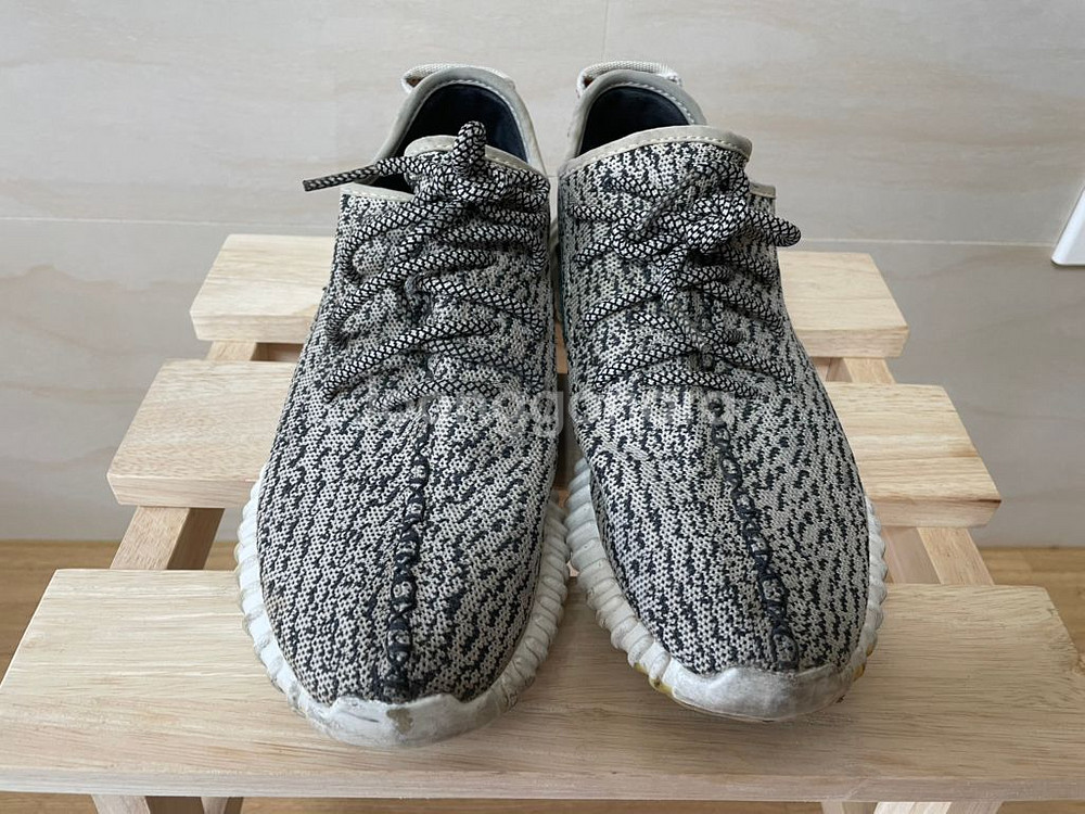 이지부스트 350 V1 터틀도브 OG 270--1