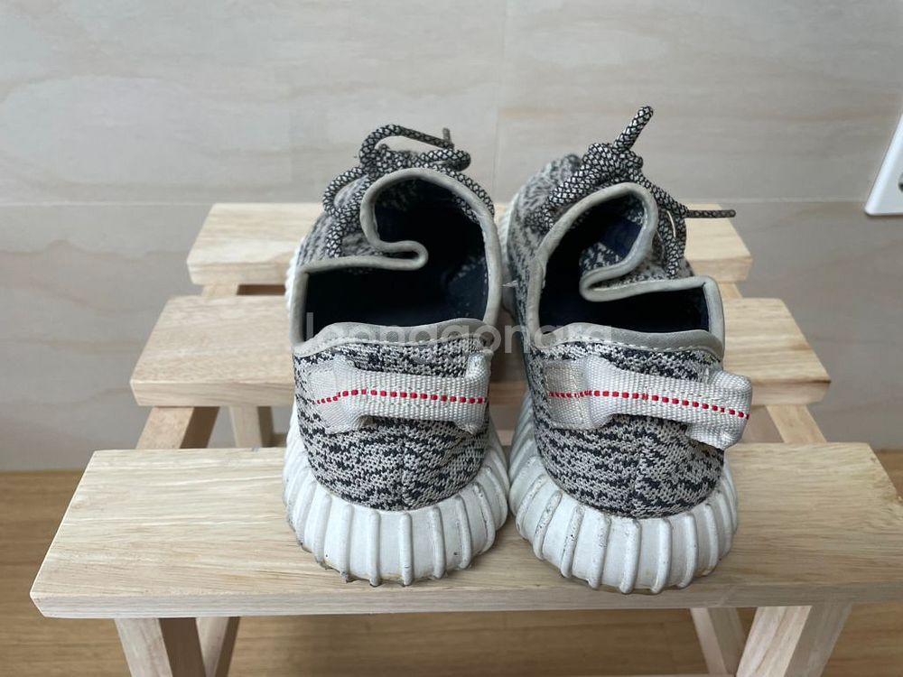 이지부스트 350 V1 터틀도브 OG 270--3