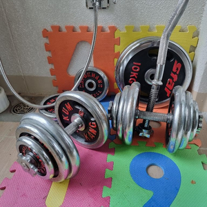 조립식 덤벨, 바벨 세트 판매(68kg, 12만원) | 헬스기구 | 중고나라
