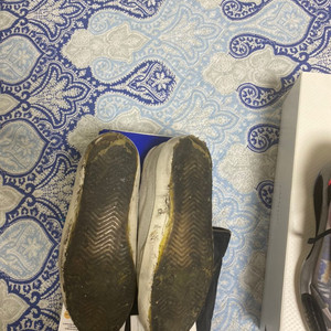 골든구스