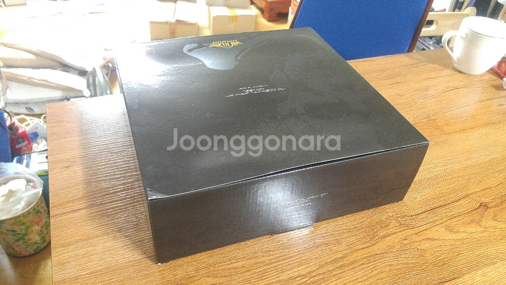 f-14톰캣 TOMCAT CENTURYWIONGS--4