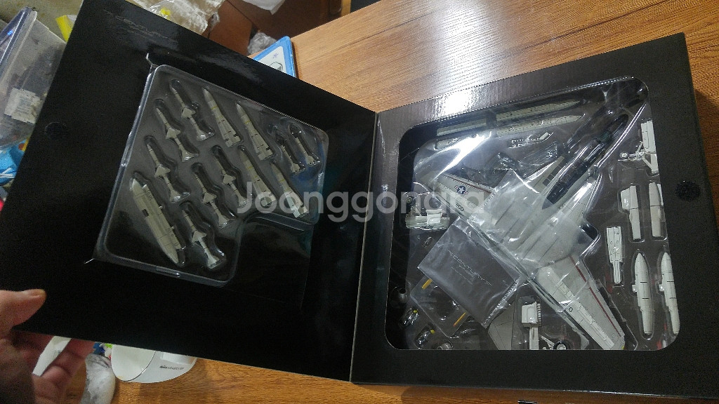 f-14톰캣 TOMCAT CENTURYWIONGS--2