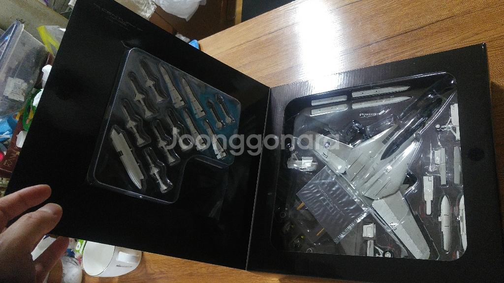 F-14 TOMCAT 톰캣 Centurywings 탑건--5