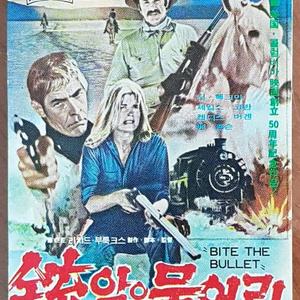 1976년 영화 알을 물어라 영화카드