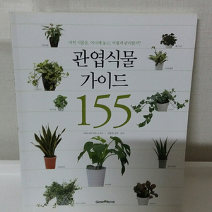 관엽식물 가이드 155