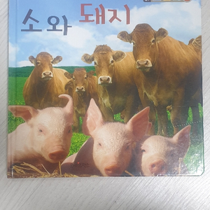 자연 인성 독서 프로그램 소와 돼지
