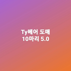 ty베어 소도매