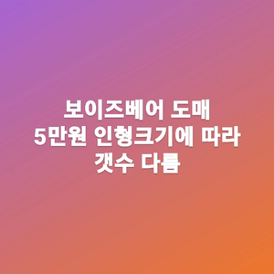 보이즈베어 소도매