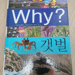 why과학 갯벌책 3000원