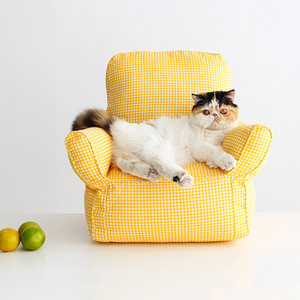 고양이소파 옐로우