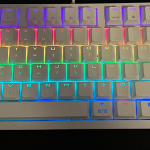 체리 Cherry g80-3000s RGB 체리 청축