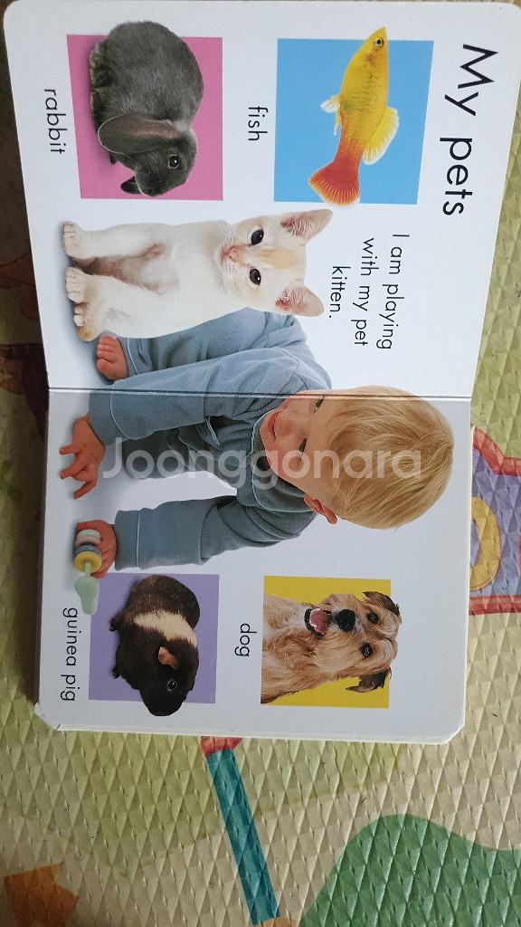 happy baby words 보드북--1