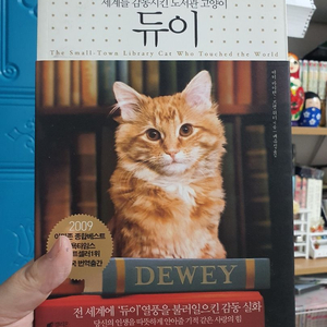 세계를 감동시킨 도서관 고양이 듀이