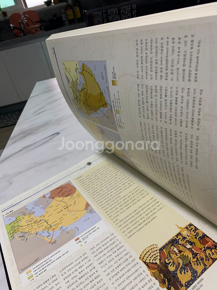 조르주 뒤비의 지도로 보는 세계사--3