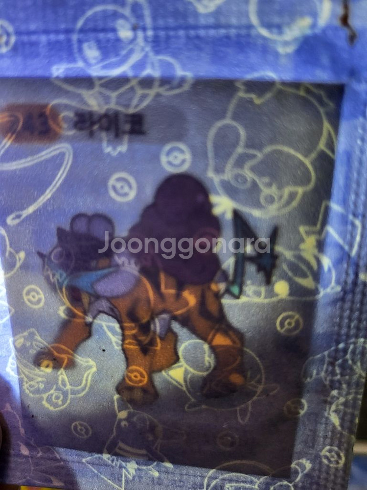 포켓몬 띠부실 라이코--0