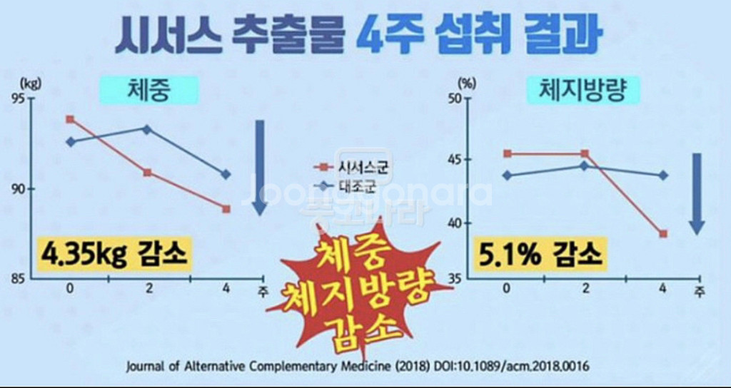 미개봉 새제품 카오라오 시서스 판매합니다.--2