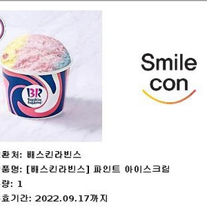베스킨라빈스 파인트