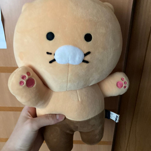 만세! 춘식이 인형