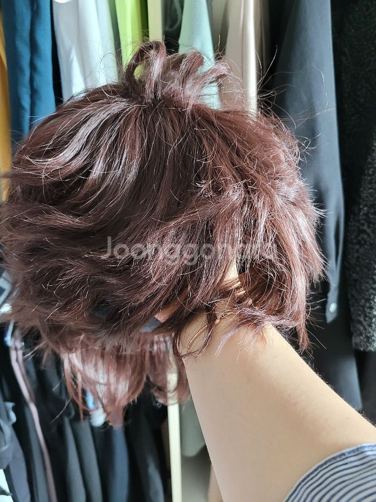 하이큐 세이죠 아오바죠사이 교복+오이카와 가발--1