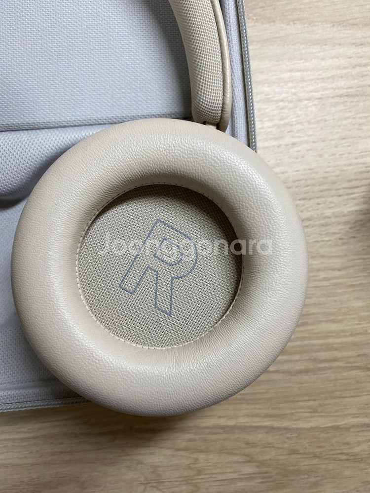 뱅앤올룹슨 hx Beoplay--2