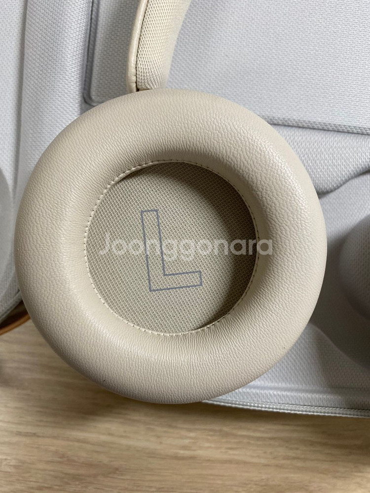 뱅앤올룹슨 hx Beoplay--3