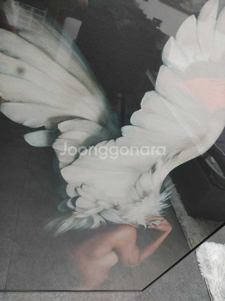 인테리어용 초대형그림 액자 그림액자 팝아트 천사그림 팜--2