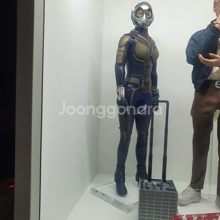 핫토이 앤트맨 와스프 제일복권 카이도우--1