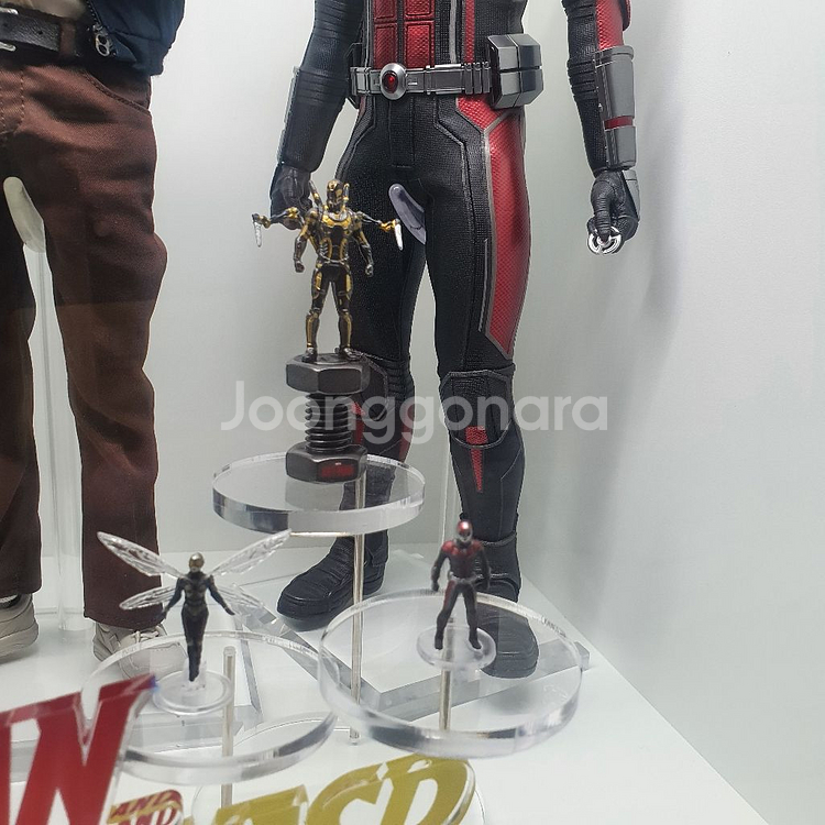 핫토이 앤트맨 와스프 제일복권 카이도우--2