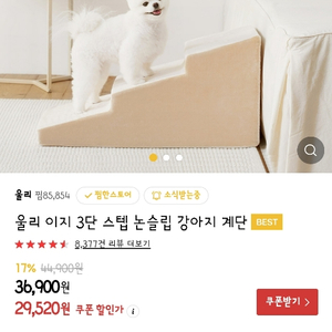 강아지 계단 3단