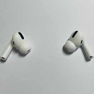 AirPods Pro 유닛