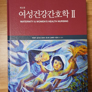 간호학과 전공책 현문사 수문사 성인 모성 지역사회간호학