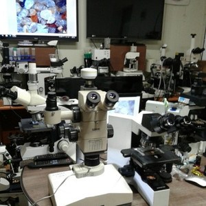올림프스 SZH10 실체현미경-3안CCD 이미지
