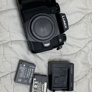 파나소닉 루믹스 G95 카메라