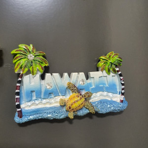 하와이 마그네틱